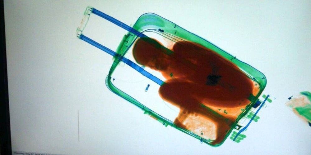 Immigration : procès de l’homme dont l’enfant était caché dans une valise