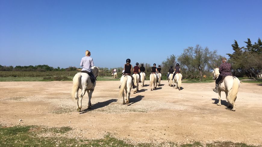 Balade à cheval dans la Camargue pour les quatre détenus