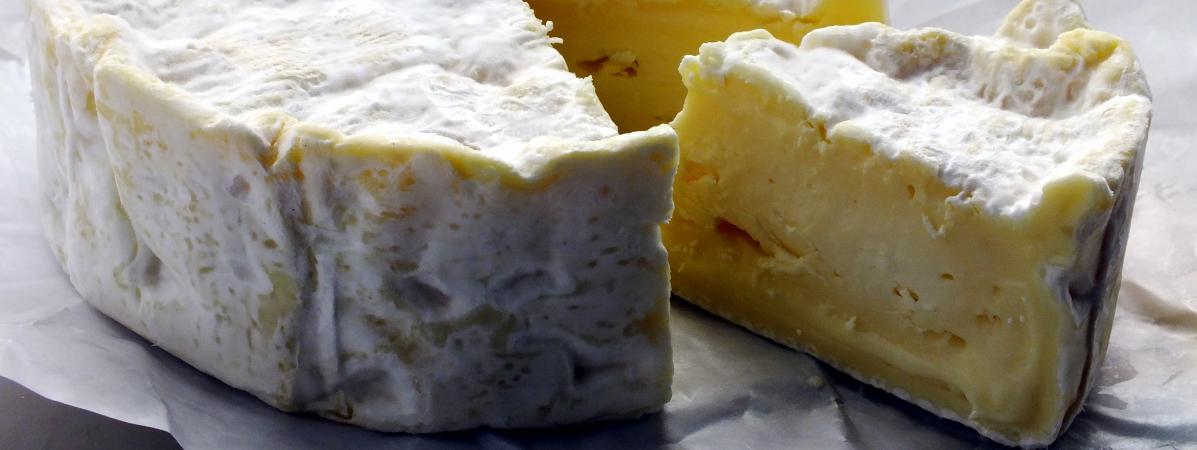 Le camembert AOP de Normandie pourra être fabriqué à base de lait pasteurisé, ce qui risque d