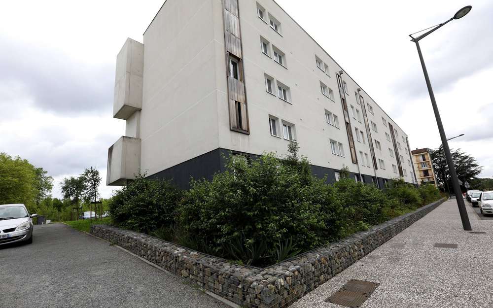 La Police dénonce les installations en pierres à Ousse-des-Bois à Pau