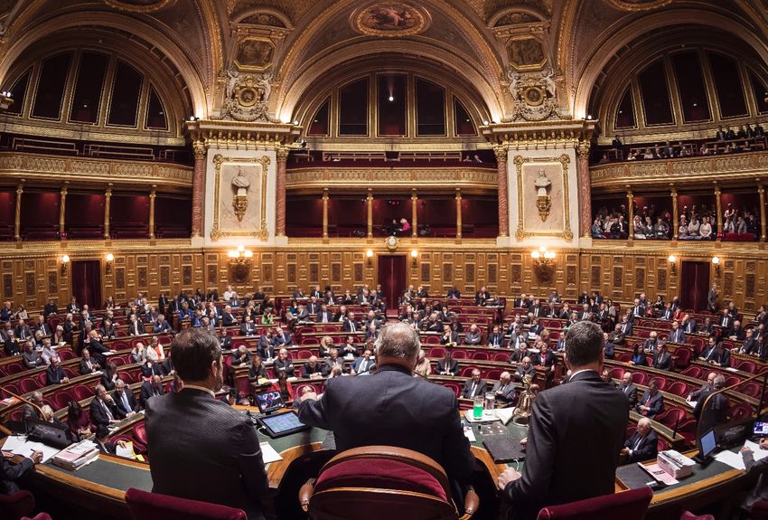 Une session du Sénat au Palais du Luxembourg.