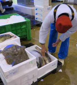 Illustration. Des employés parvenaient à subtiliser des cageots remplis de marchandises peu de temps avant le marché aux poissons de deux heures du matin.