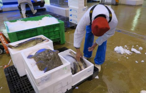Illustration. Des employés parvenaient à subtiliser des cageots remplis de marchandises peu de temps avant le marché aux poissons de deux heures du matin.