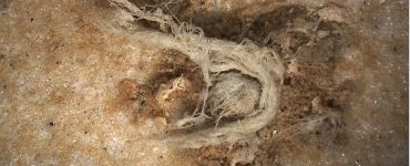 Le plus ancien fragment de corde de l’humanité a été découvert en Ardèche. . Une découverte qui en apprend un peu plus sur l’Homme de Neandertal qui était capable de réaliser ce qui ressemble à une cordelette, bien avant Homo Sapiens. / © MEB-MNHN (détails) et HIROX-C2RMF