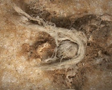 Le plus ancien fragment de corde de l’humanité a été découvert en Ardèche. . Une découverte qui en apprend un peu plus sur l’Homme de Neandertal qui était capable de réaliser ce qui ressemble à une cordelette, bien avant Homo Sapiens. / © MEB-MNHN (détails) et HIROX-C2RMF