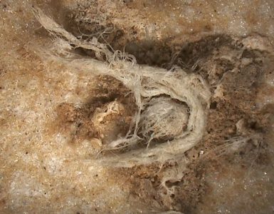 Le plus ancien fragment de corde de l’humanité a été découvert en Ardèche. . Une découverte qui en apprend un peu plus sur l’Homme de Neandertal qui était capable de réaliser ce qui ressemble à une cordelette, bien avant Homo Sapiens. / © MEB-MNHN (détails) et HIROX-C2RMF