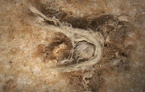 Le plus ancien fragment de corde de l’humanité a été découvert en Ardèche. . Une découverte qui en apprend un peu plus sur l’Homme de Neandertal qui était capable de réaliser ce qui ressemble à une cordelette, bien avant Homo Sapiens. / © MEB-MNHN (détails) et HIROX-C2RMF