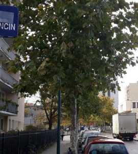 Mantes-la-Jolie (Yvelines). Plusieurs amendes ont été adressées à des habitants de cette rue du quartier du Val-Fourré.