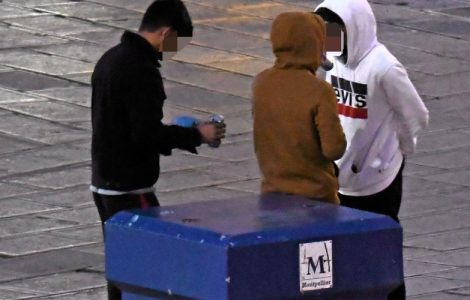 Saint-Jean-de-Védas: la municipalité a lancé une pétition contre la création d