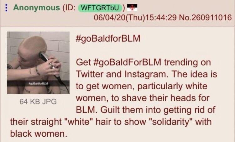 Black lives matter : des femmes se rasent le crâne piégées par un troll du forum 4chan