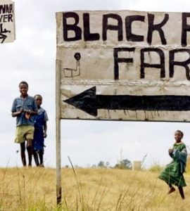 Un accord de dédommagement des fermiers blancs trouvé au Zimbabwe