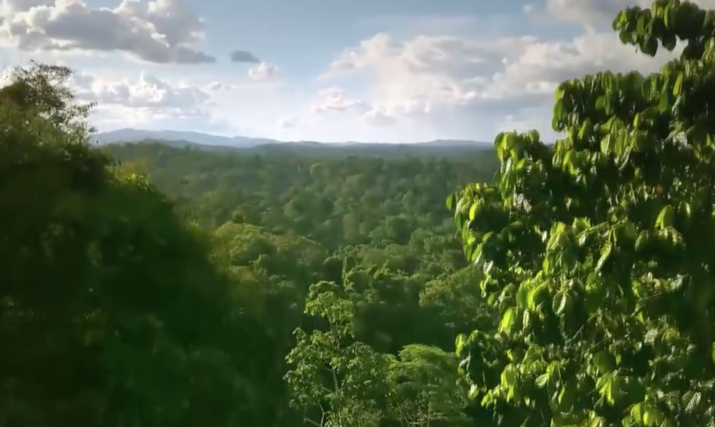 Le plus vaste espace protégé de France : le Parc amazonien de Guyane ...