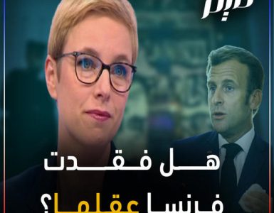 Les propos de Clémentine Autain accusant l'État français d'islamophobie et de discrimination ciblée contre les musulmans repris pour alimenter la campagne de haine contre la France