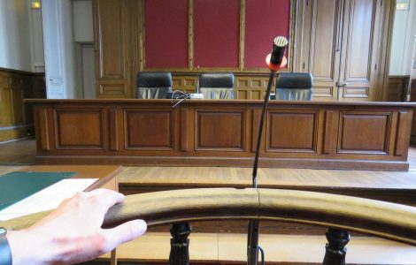 Yvelines. La nounou de Triel-sur-Seine terrorise toute une famille