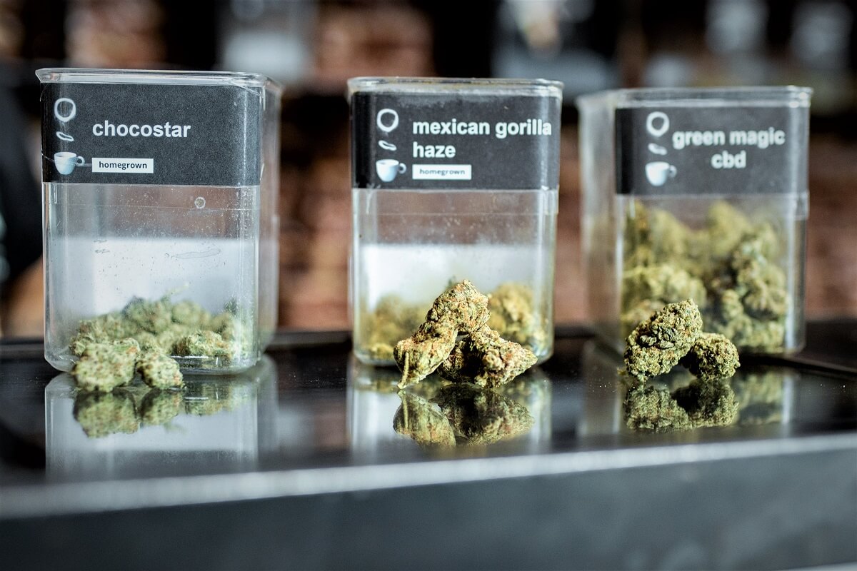 Le Parlement lance une consultation citoyenne sur le cannabis "récréatif" Fdesouche