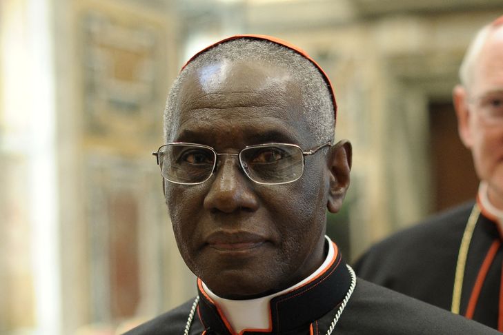 Le pape accepte la renonciation du cardinal Robert Sarah Abonnés