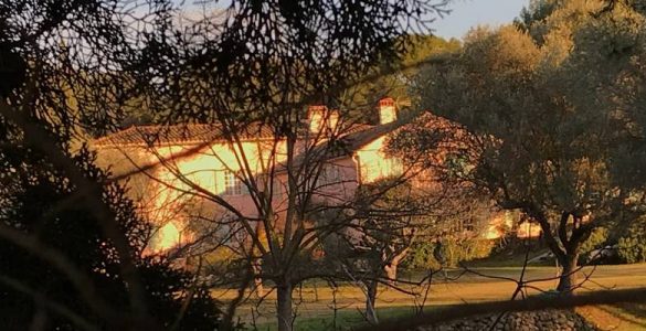 Le fils adoptif d'Olivier Duhamel placé en détention provisoire dans le Var