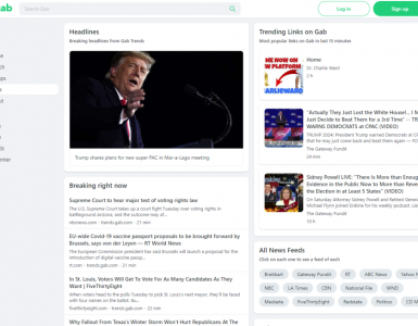 Le réseau social Gab, prisé des ultraconservateurs américains, a été piraté et ses données volées