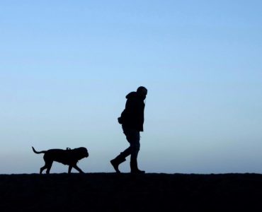 Les chiens, pires que les SUV pour la planète