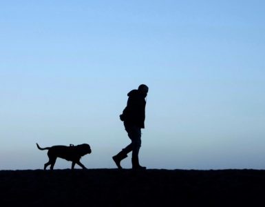 Les chiens, pires que les SUV pour la planète