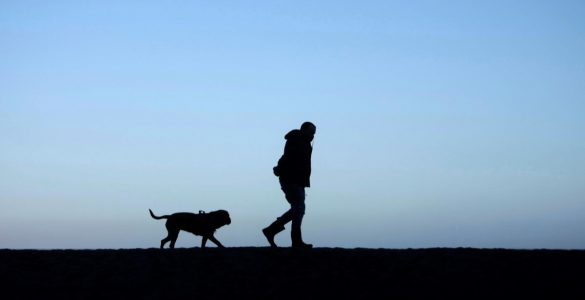 Les chiens, pires que les SUV pour la planète