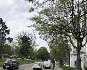 Rennes. Trois mineurs incarcérés pour avoir frappé un sexagénaire avec une batte de base-ball