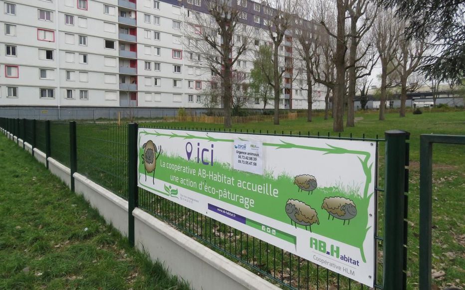 Argenteuil le projet d