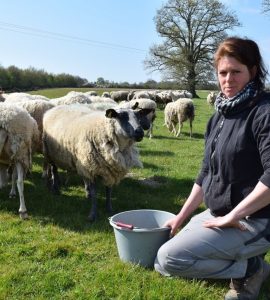 Loire-Atlantique : victime de vols de moutons, cette éleveuse vit un calvaire au quotidien