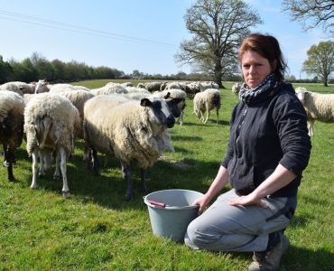 Loire-Atlantique : victime de vols de moutons, cette éleveuse vit un calvaire au quotidien