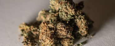 La France va autoriser les produits au CBD et interdire la vente des fleurs