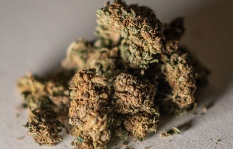 La France va autoriser les produits au CBD et interdire la vente des fleurs