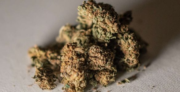 La France va autoriser les produits au CBD et interdire la vente des fleurs