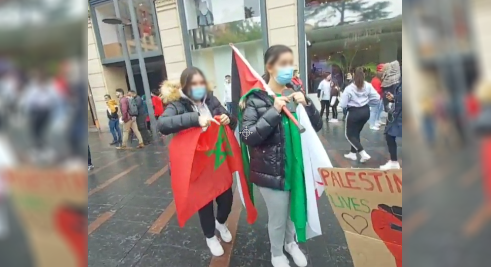 DÃ©rapage antisÃ©mite dans la manif pro-Palestinienne Ã  Toulouse : Â« Tu