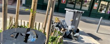 Conseil Municipal : LES RATS DEVIENNENT ESPÈCE PROTÉGÉE