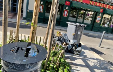 Conseil Municipal : LES RATS DEVIENNENT ESPÈCE PROTÉGÉE