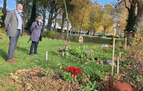 Cercueils non polluants, prairie naturelle, vêtements en coton, lin... : Paris lance ses cimetières écolos