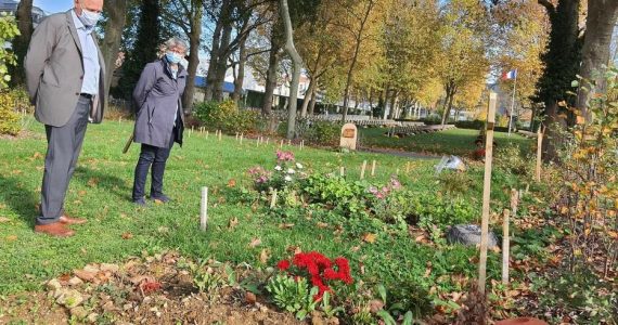 Cercueils non polluants, prairie naturelle, vêtements en coton, lin... : Paris lance ses cimetières écolos
