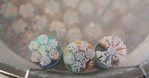 PMA pour toutes : un appel aux dons pour renforcer la diversité du stock de gamètes