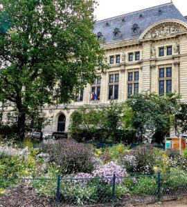 Sorbonne : un syndicat étudiant de gauche utilise un listing pour promouvoir un meeting d’Anasse Kazib et Assa Traoré