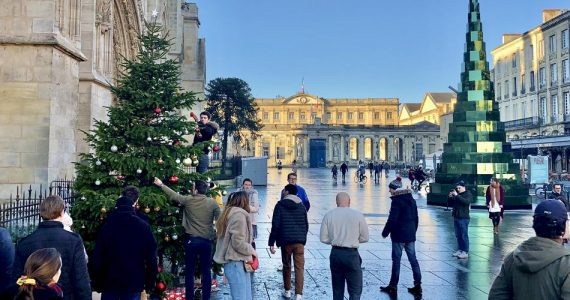 Vidéo. Bordeaux : un « vrai » sapin installé devant la cathédrale