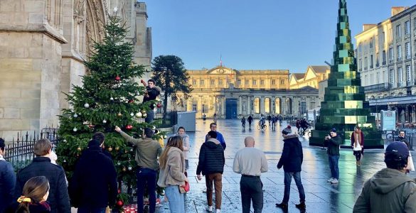 Vidéo. Bordeaux : un « vrai » sapin installé devant la cathédrale