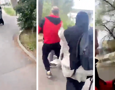 Soupçonné d'agression sur deux femmes voilées à Montpellier : "Elles voulaient tuer mon chien" raconte l'homme de la vidéo