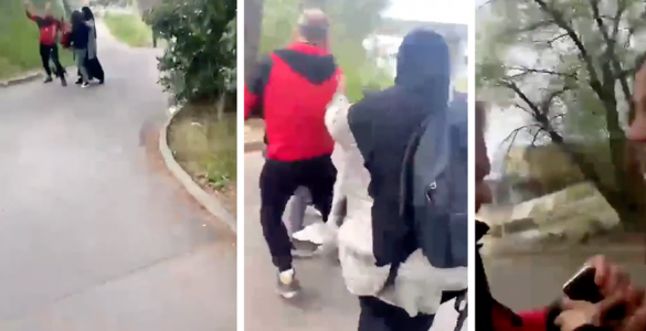 Soupçonné d'agression sur deux femmes voilées à Montpellier : "Elles voulaient tuer mon chien" raconte l'homme de la vidéo