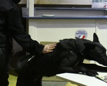 Toulouse : des policiers évitent à une adolescente de se retrouver séquestrée dans un squat