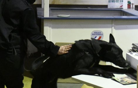 Toulouse : des policiers évitent à une adolescente de se retrouver séquestrée dans un squat