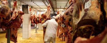 Origine de la viande : la fin très discrète de l'étiquetage obligatoire