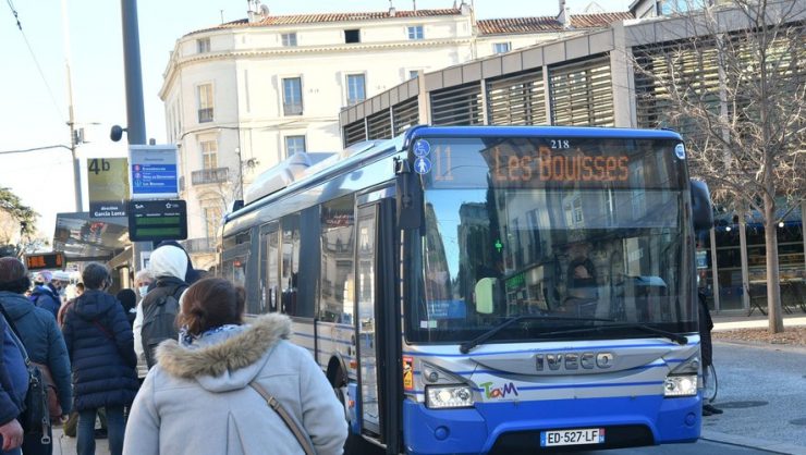 Montpellier : "Ce n’est pas elle que je voulais frapper", l’auteur d'une agression gratuite à l'arrêt de bus écroué