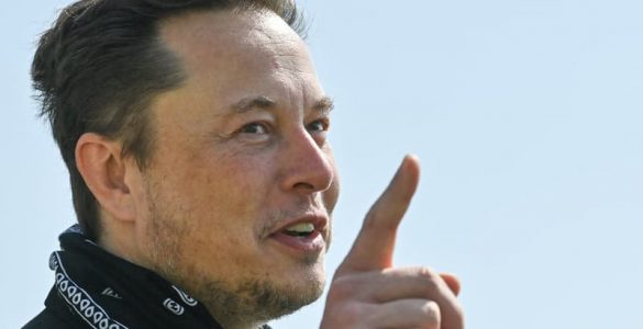Depuis le rachat d’Elon Musk, Twitter voit son nombre d’utilisateurs actifs exploser