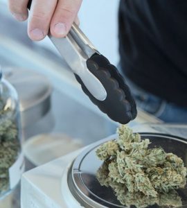 Dans l'État de New York, les condamnés pour vente de cannabis seront les premiers à en vendre légalement