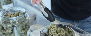 Dans l'État de New York, les condamnés pour vente de cannabis seront les premiers à en vendre légalement